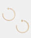 Brea Gold Tone Beaded Hoop Earrings  large image number 2