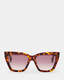 Minerva Square Cat Eye Sunglasses  large image number 1