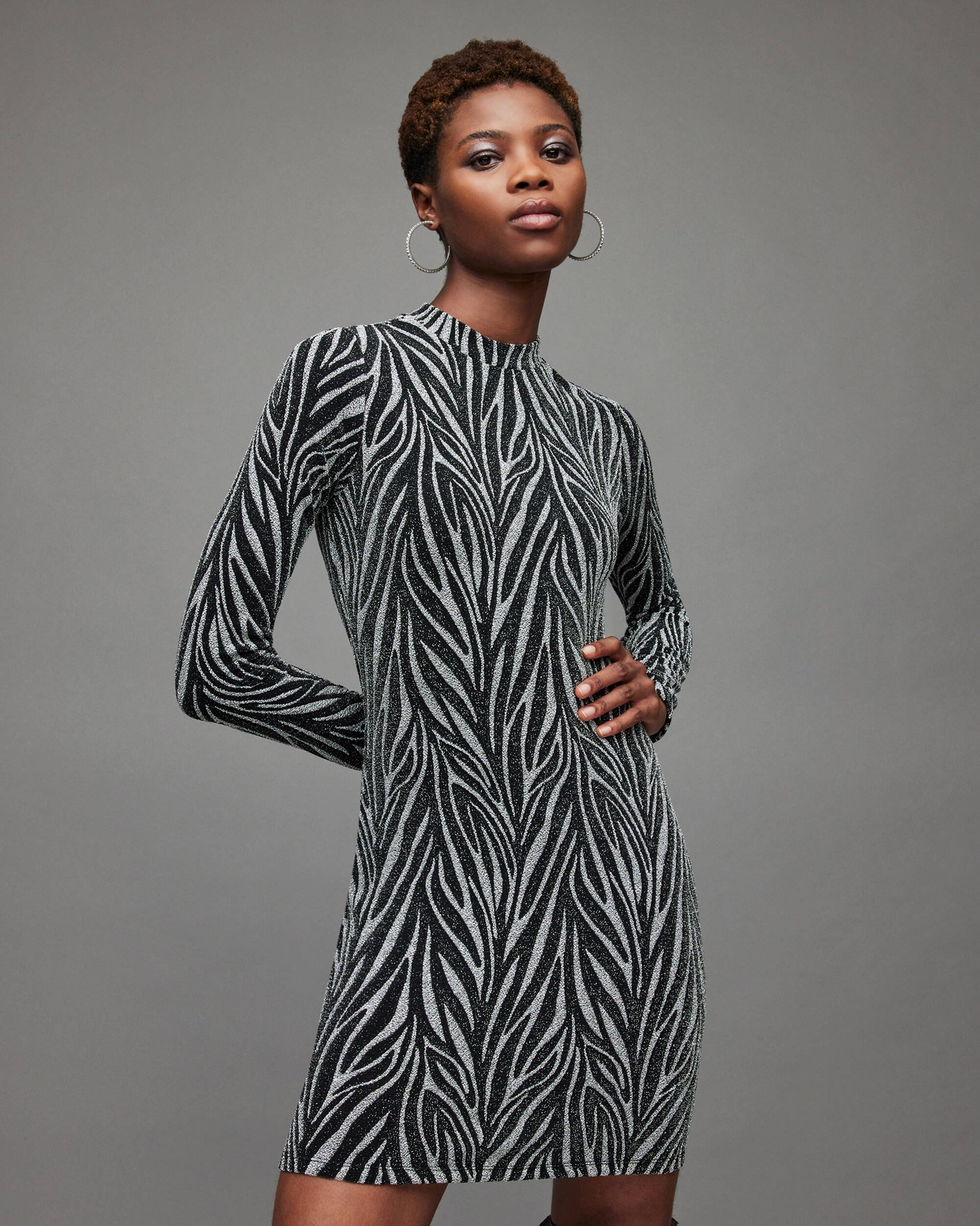 Amaya Zebra Dress  large image number 3