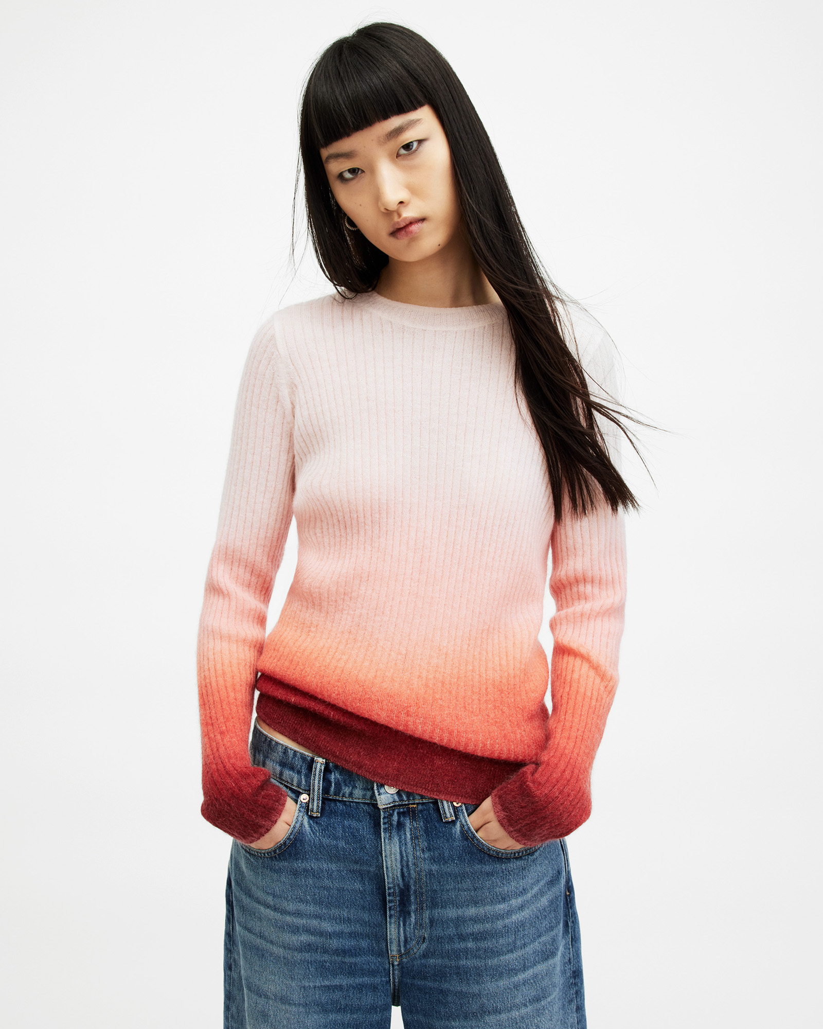 AllSaints Sissy Ribbed Ombre Roll Neck Jumper